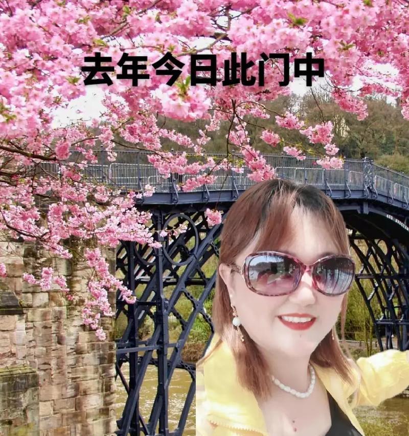抖音妇女节祝福语——用爱点亮生活（2024年）