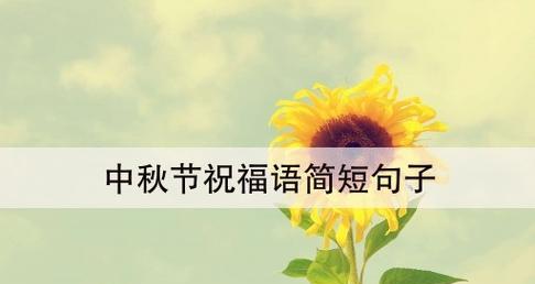 明月皎洁，中秋团圆（2024年中秋节祝福语简洁大气好句）