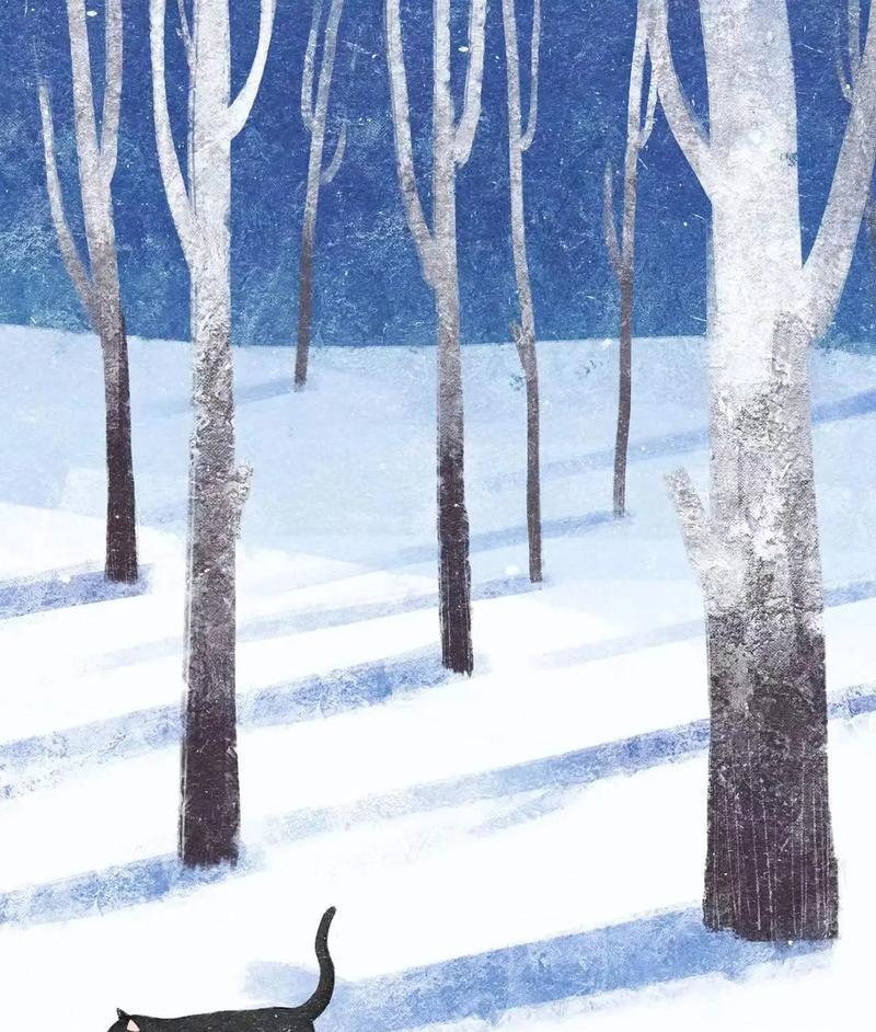 小雪的抖音故事（2024年）