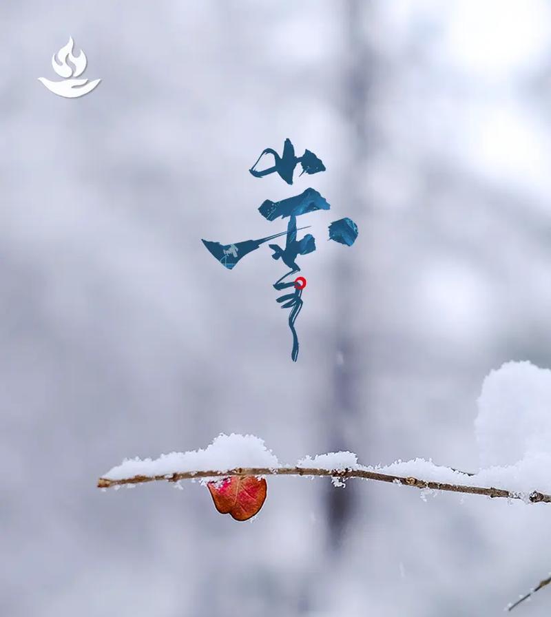 小雪的美丽之舞——2024年抖音小雪热门好句（唯美诗意的文字）