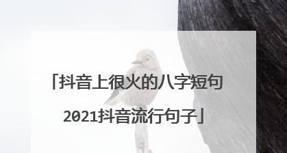 探寻抖音最美好的文字（唯美短句）