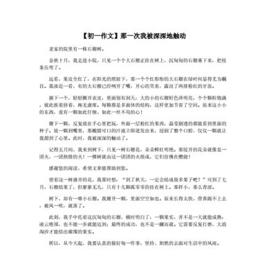 那抹微笑（一个微笑的魔力）