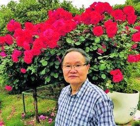 母爱是前行的力量