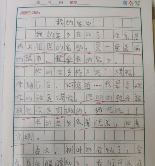 我爱家乡美食：《小镇的味道》