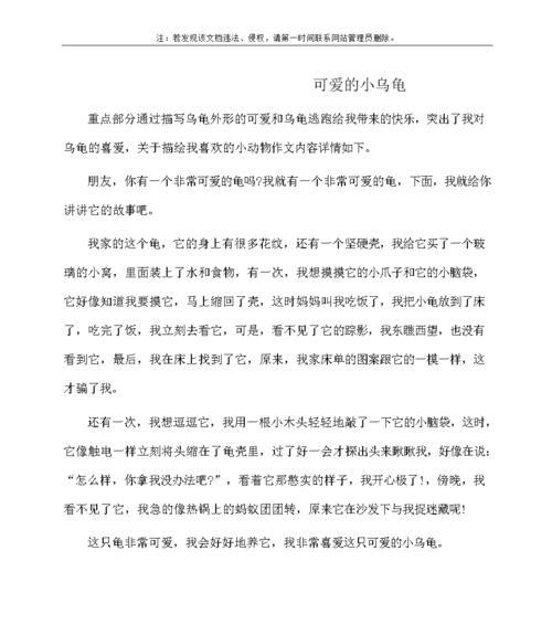 我的小鸟朋友：爱与自由的故事