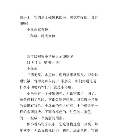 两只小乌龟的奇幻之旅