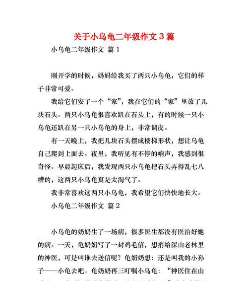 两只小乌龟的奇幻之旅
