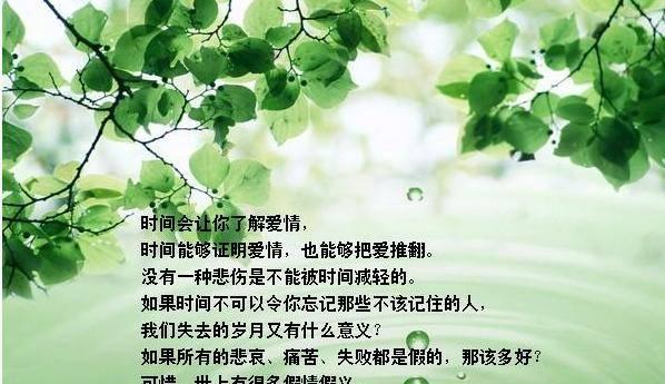 花开依旧，我依然爱你（2024情人节）