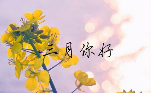 桃花开放，岁月静好——2024三月你好朋友圈说说（一起留恋）
