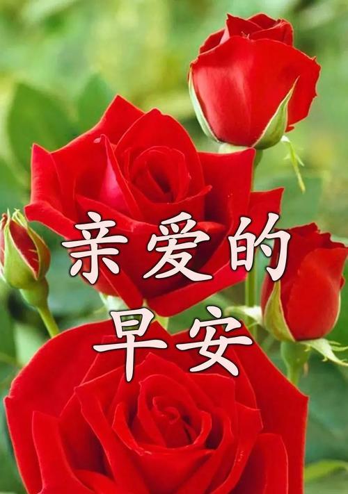 2024，为春节献上新颖的祝福（用唯美的句子）