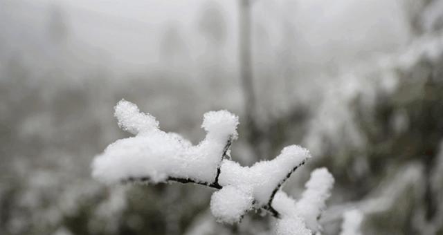 冬日初雪：唤醒心底的宁静与美好