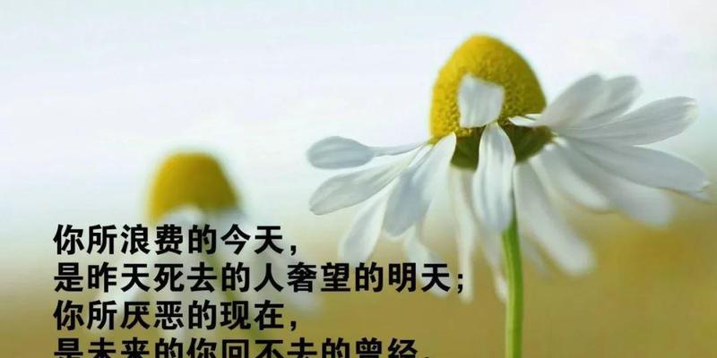 忍耐的力量（掌握忍耐）