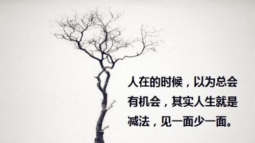 生命的感悟（25篇唯美短句）