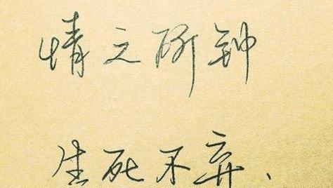 用心品味，细细感悟（用心品味）