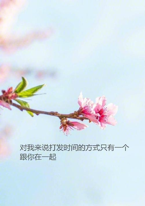 用心品味，细细感悟（用心品味）