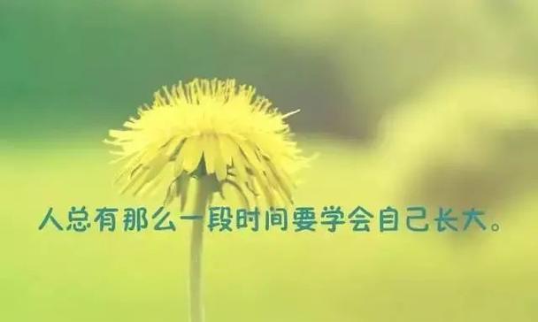 以减为增，享受纯粹生活（不断削减）