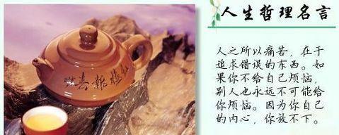行走人生，追求价值（以名言警句为引）