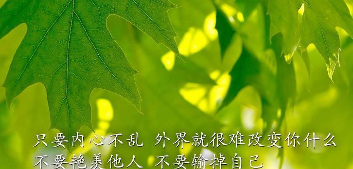 人生拼搏，创造辉煌