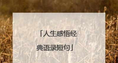 选择之路（25个名言警句助你走出迷茫）