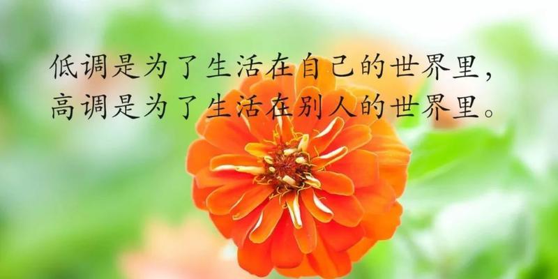 人生旅途上的励志语录（人生旅途上的励志语录）
