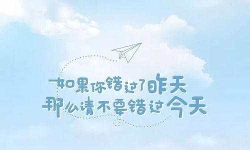 追求真爱的信仰坚定者（追求真爱的信仰坚定者）