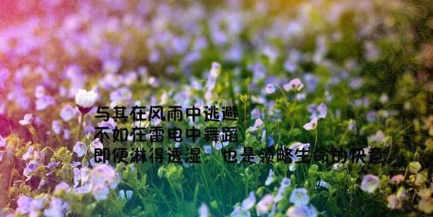人生无常，唯美哲理短句（探索内心的力量）