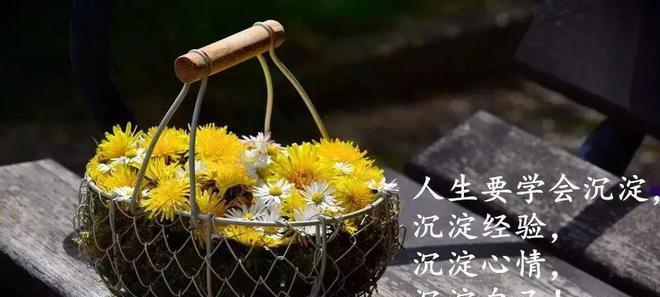人生无常，唯美哲理短句（探索内心的力量）