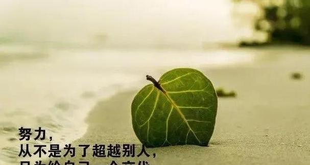 行动力量，青春不散场（践行名言警句）