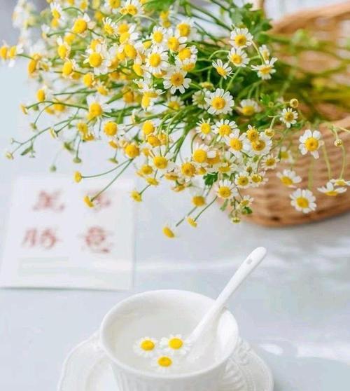 花开如意（以生命如花为主题的小故事）