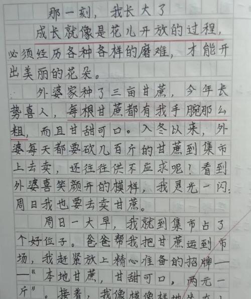 亲情的力量（一个奋斗者的故事）