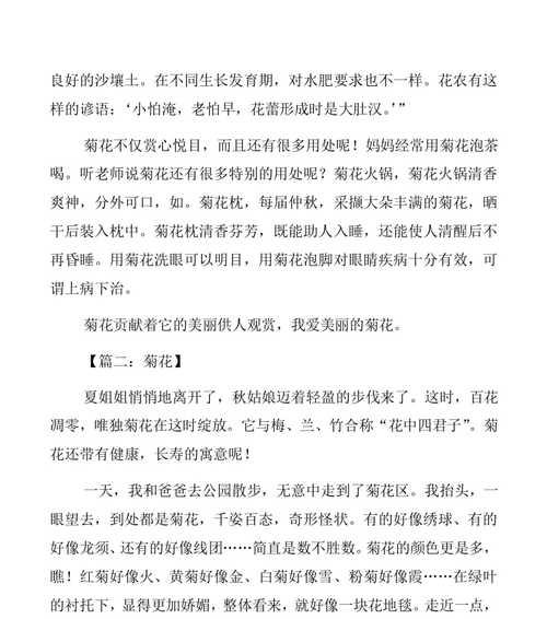 赞美菊花（一个小女孩对菊花的热爱与探索）