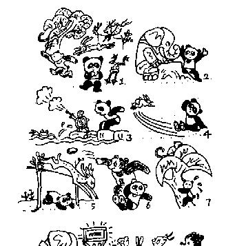 小动物运动会