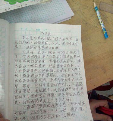 征服挑战山峰（一个人的冒险之旅）
