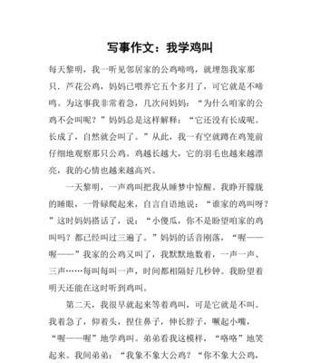 小鸡的成长历程
