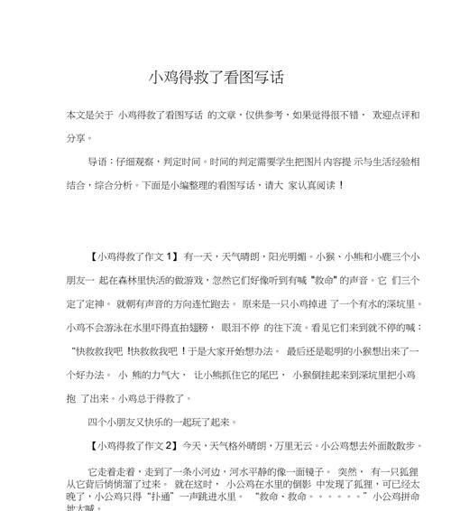 小鸡的成长历程