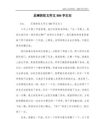 我的爱好——画画（一个有趣的绘画经历）