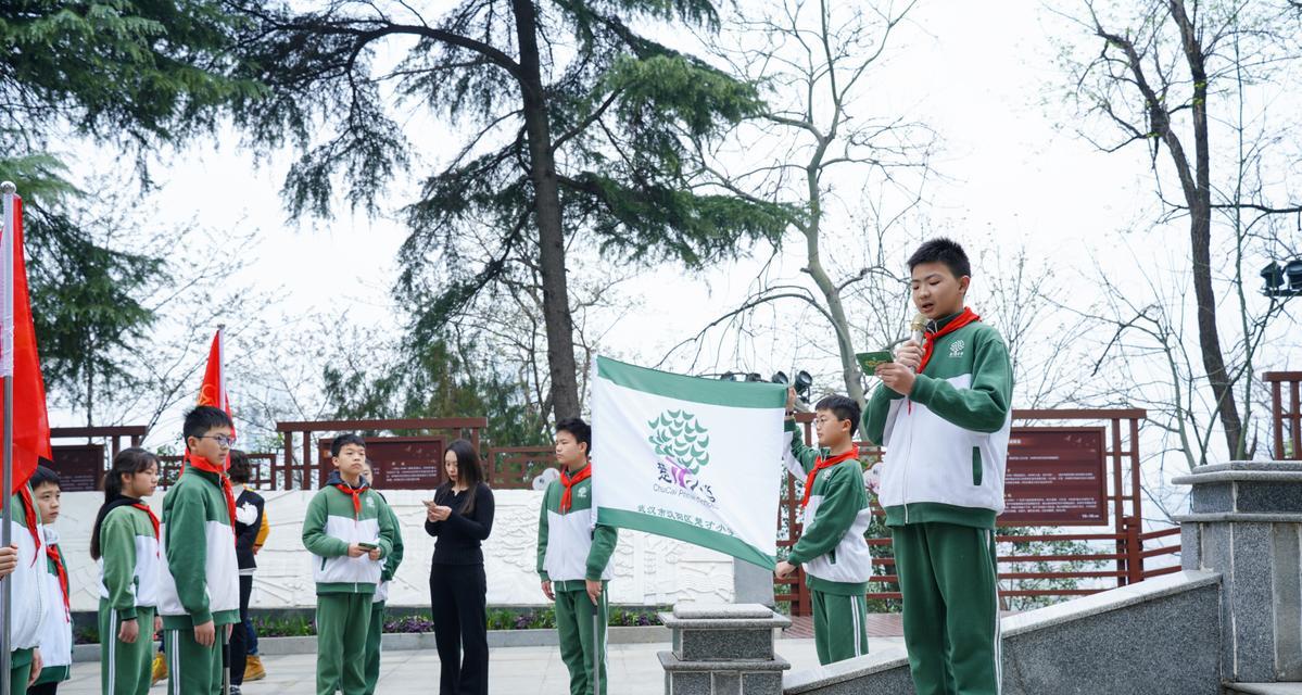 青春之光：一个少年的成长历程