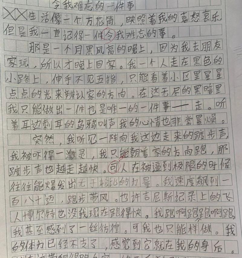 2024，那场永远难忘的奥运（一位年轻举重选手的奋斗历程）