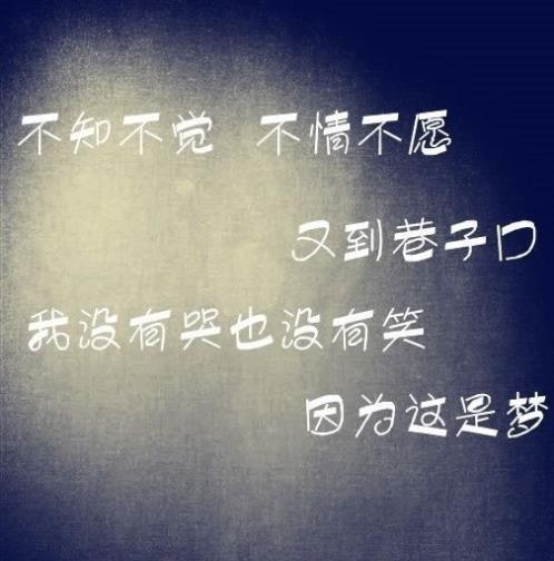 《坚持不懈，追求美好》