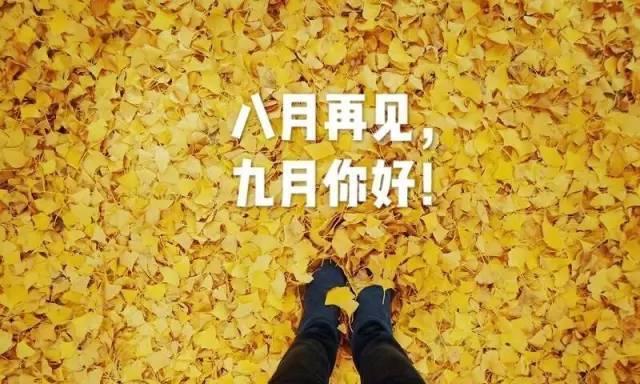 化作温暖的阳光，洒向心灵深处（化作温暖的阳光）