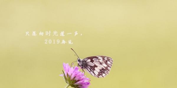 最后一天，我们的心情（最后一天）