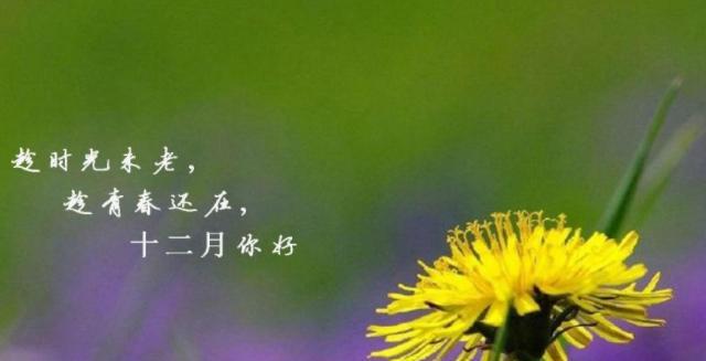 最后一天，我们的心情（最后一天）