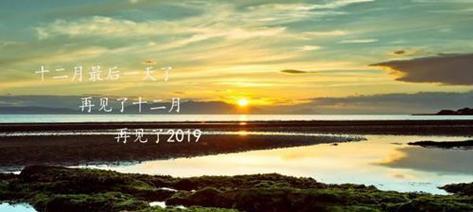 最后一天，我们的心情（最后一天）
