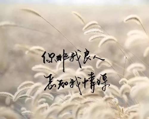 唯美短句笔下的绮丽风景