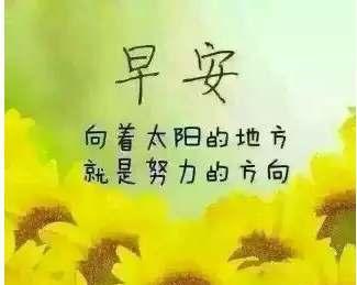 用积极的心态拥抱美好生活（用积极的心态拥抱美好生活）