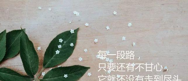 微信点赞，情感交流（微信点赞）