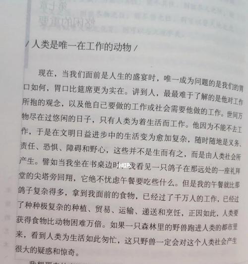 用爱守护地球，让美丽长存（用爱守护地球）