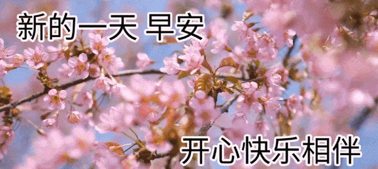岁末欢歌唱，浪漫十二月（迎接新年的醉人美好）
