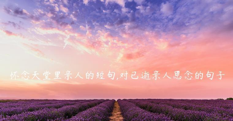 似曾相识，已不再回头（似曾相识）