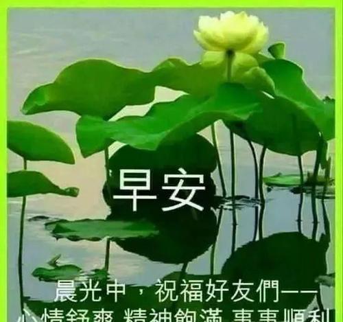《花美句子经典》：赏花万种，唯有美丽最为珍贵